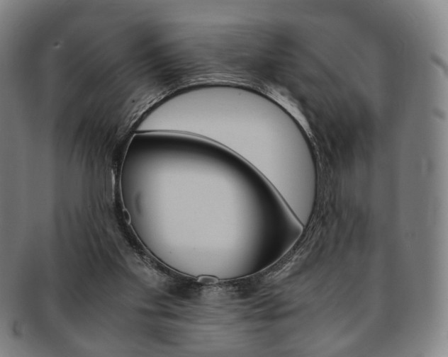 X0000091650109200708231018