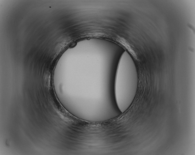 X0000091650110200708231018