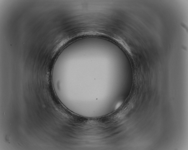 X0000091650111200708231018
