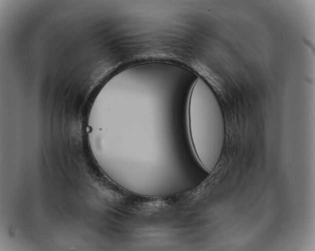 X0000091650112200708231018