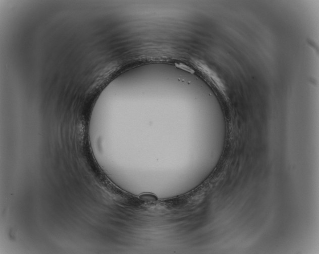 X0000091650113200708231018