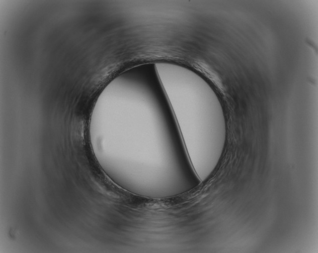 X0000091650115200708231018