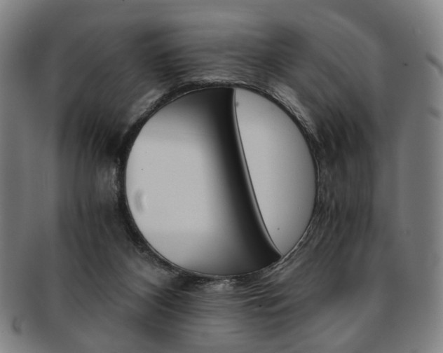 X0000091650116200708231018