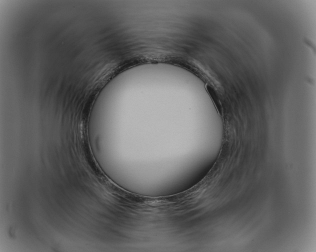 X0000091650117200708231018