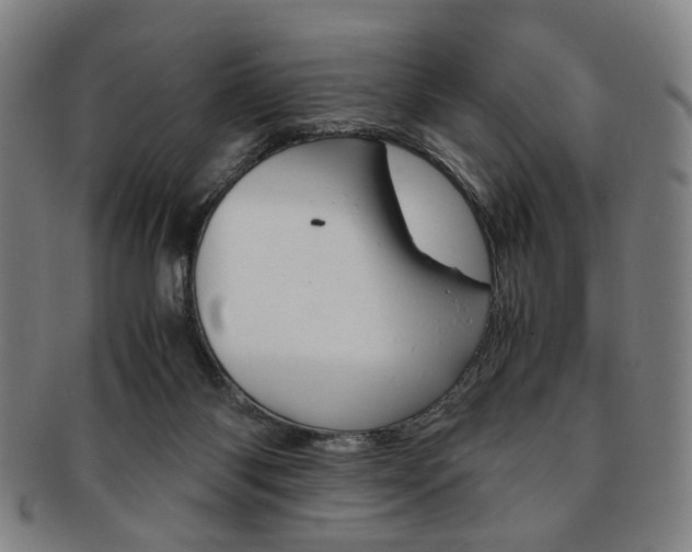 X0000091650118200708231018