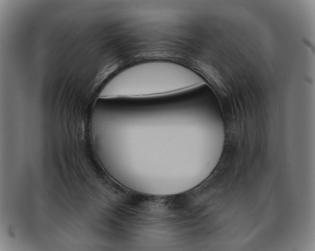 X0000091650120200708231018