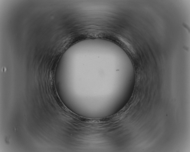 X0000091650121200708231018