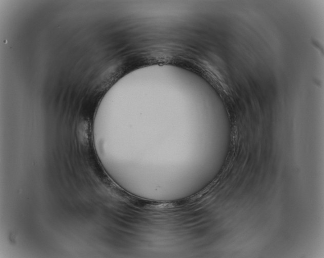 X0000091650122200708231018