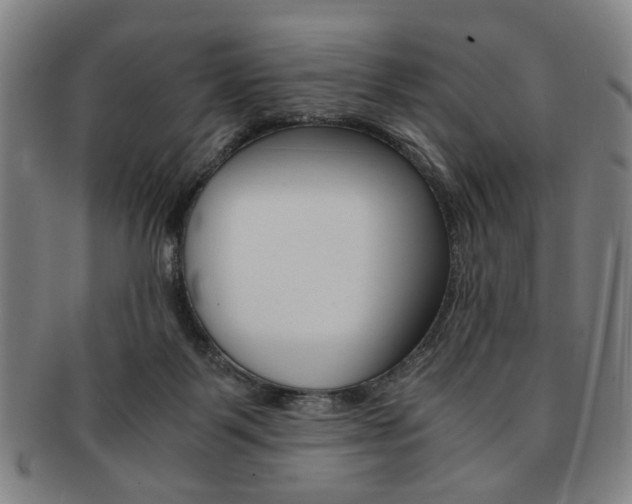 X0000091650123200708231018