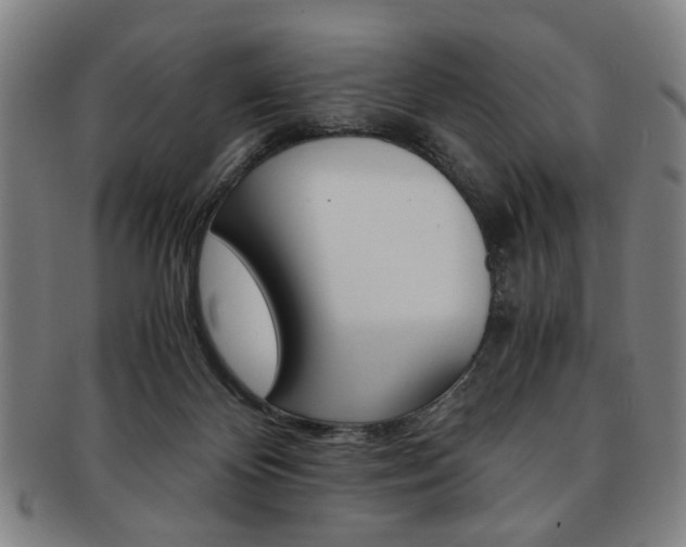X0000091650124200708231018