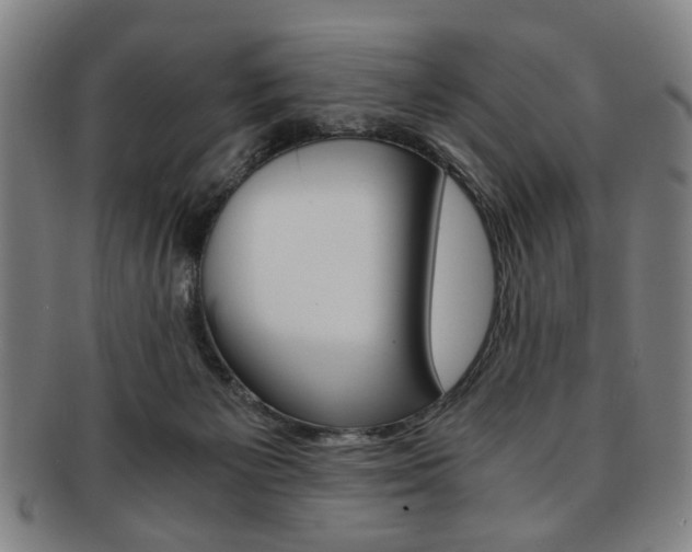 X0000091650125200708231018