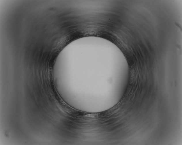 X0000091650126200708231018