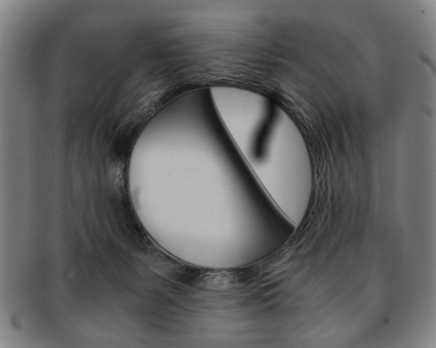 X0000091650127200708231018