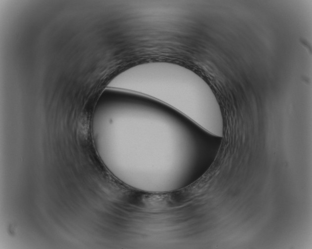 X0000091650129200708231018