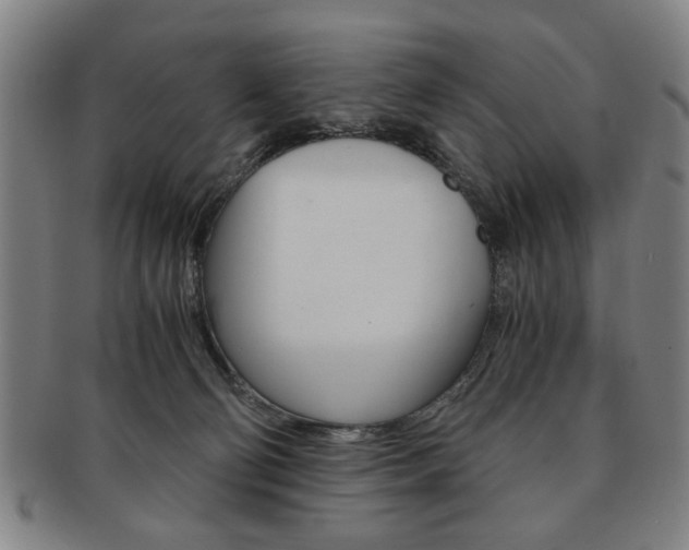 X0000091650130200708231018