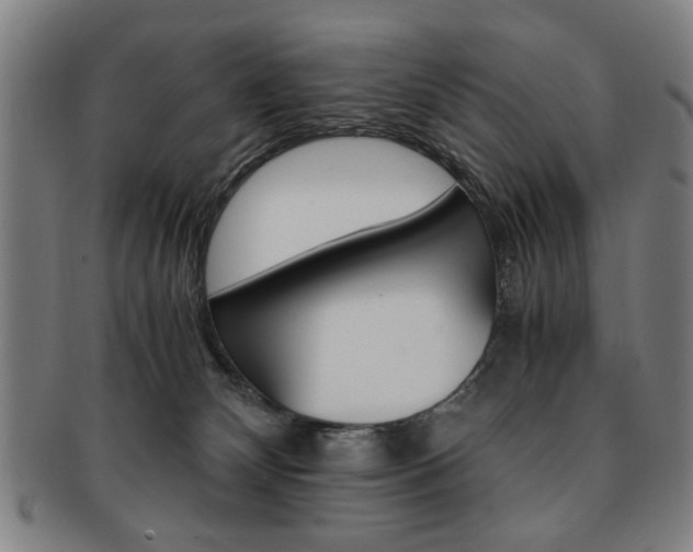 X0000091650132200708231018