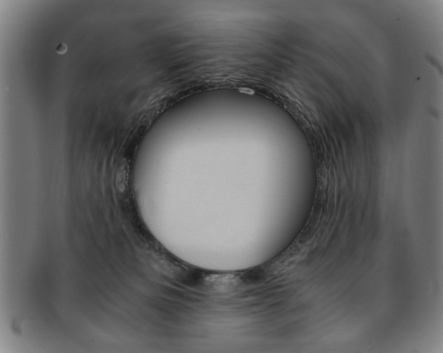 X0000091650133200708231018