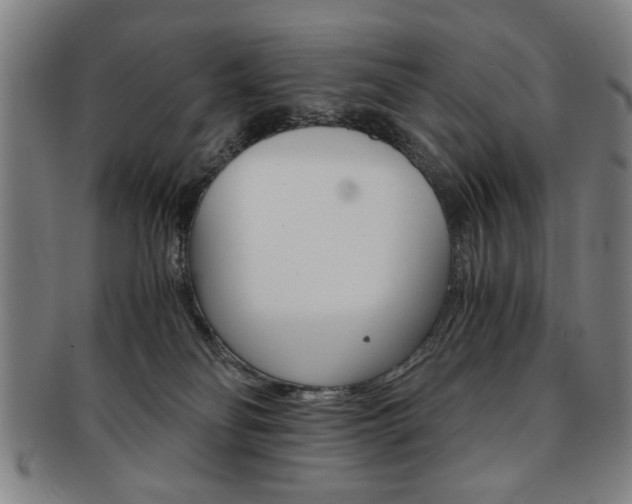 X0000091650134200708231018