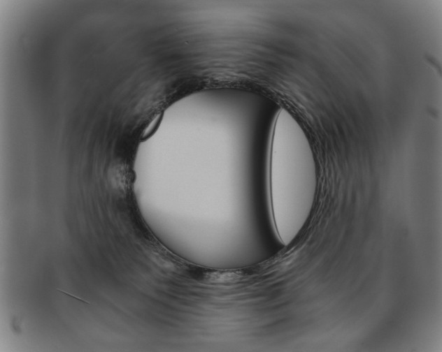 X0000091650135200708231018