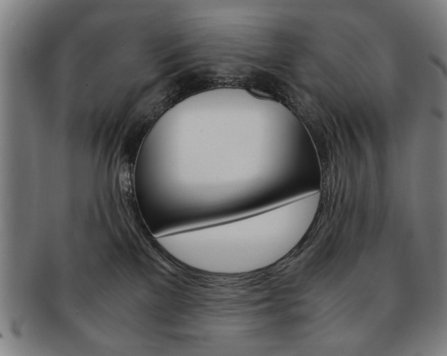 X0000091650137200708231018