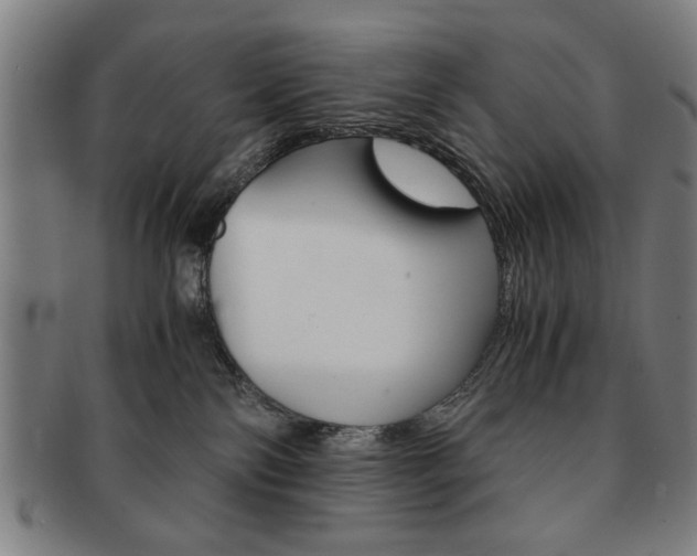 X0000091650138200708231018