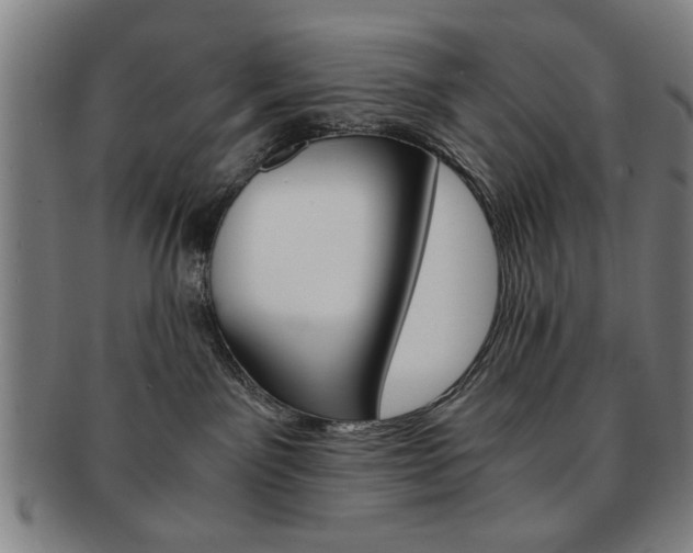 X0000091650141200708231018