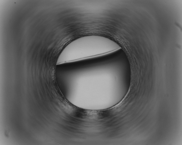 X0000091650144200708231018