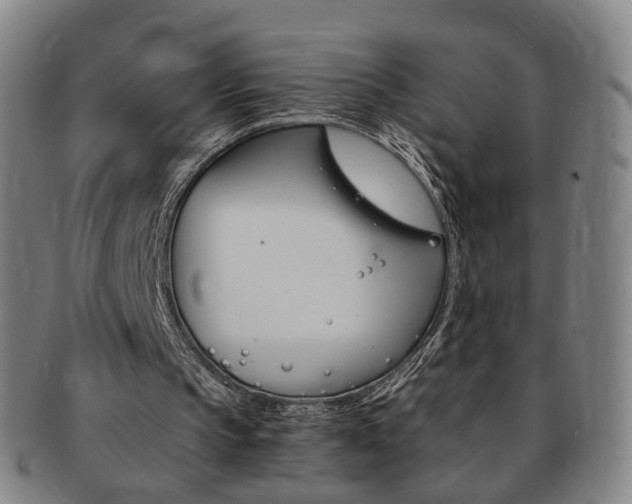 X0000091650145200708231017