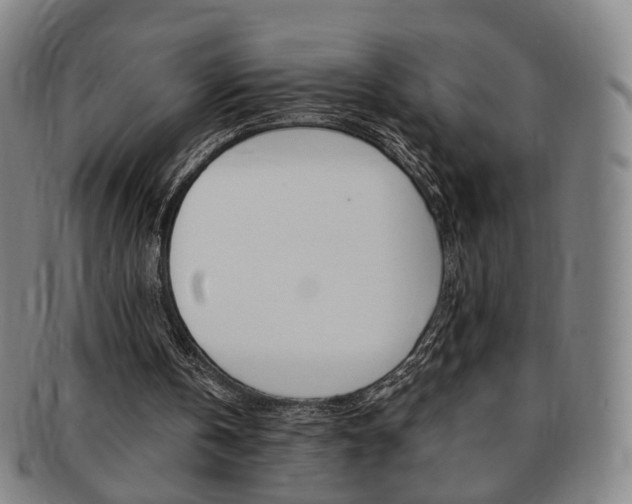 X0000091650146200708231017