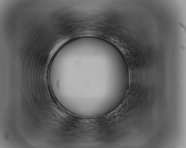 X0000091650147200708231017
