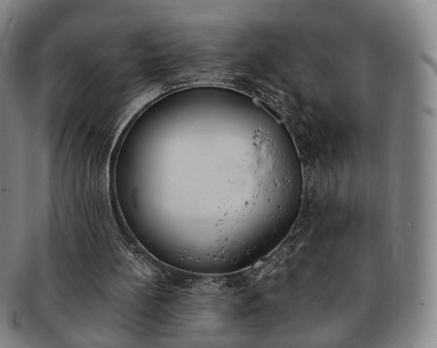 X0000091650148200708231017