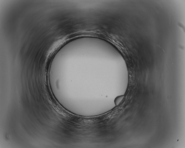 X0000091650149200708231017