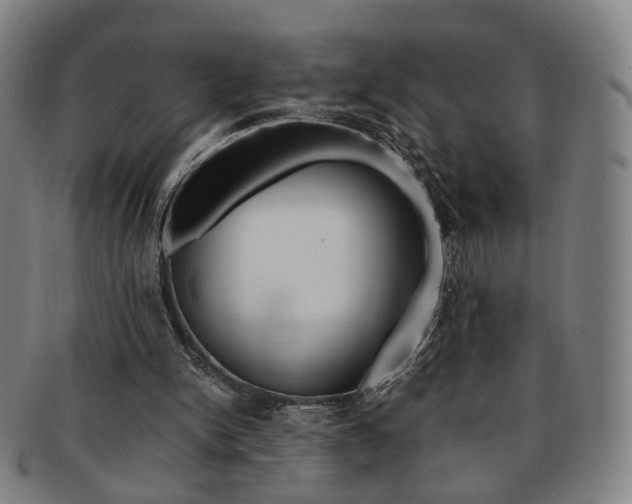 X0000091650150200708231017