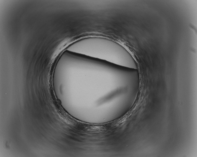 X0000091650151200708231017