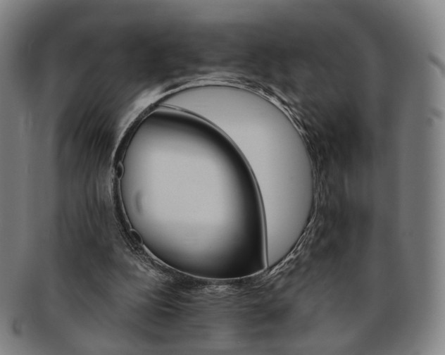 X0000091650152200708231017