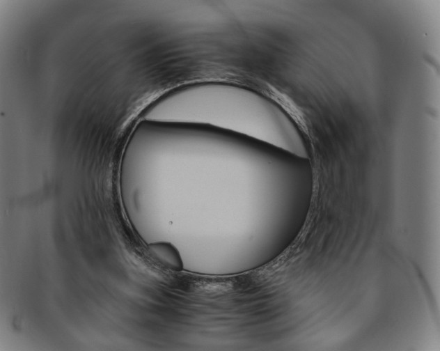 X0000091650155200708231017