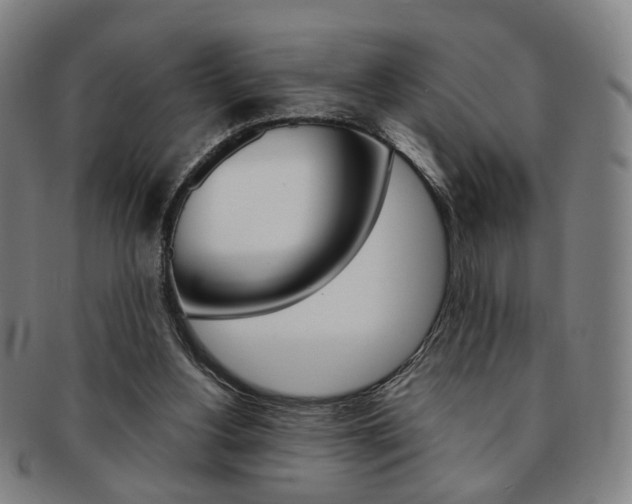 X0000091650156200708231017