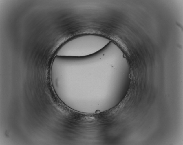 X0000091650159200708231017