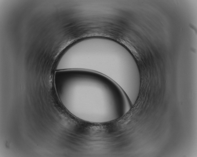 X0000091650160200708231017