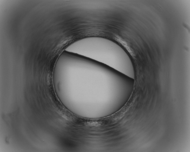 X0000091650161200708231017