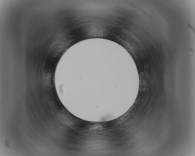 X0000091650162200708231017