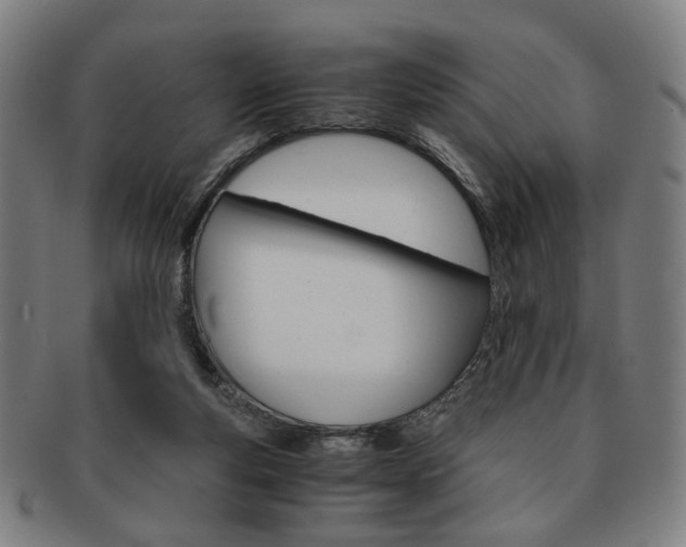 X0000091650163200708231017