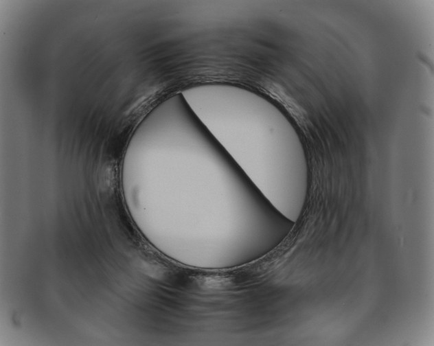 X0000091650165200708231017