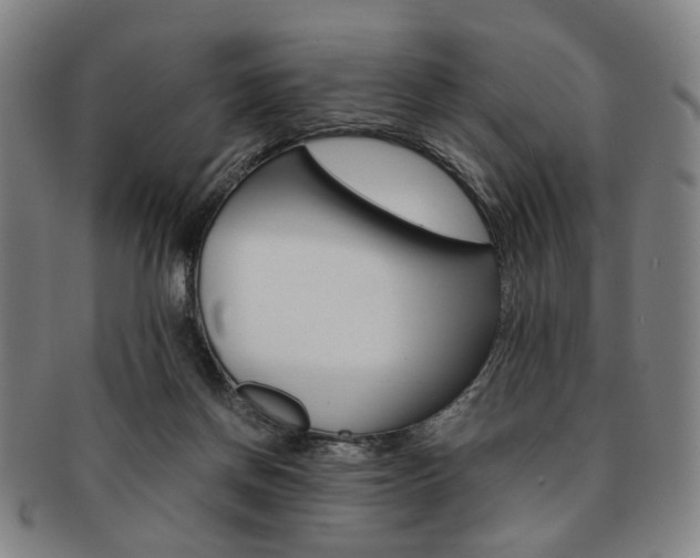X0000091650166200708231017