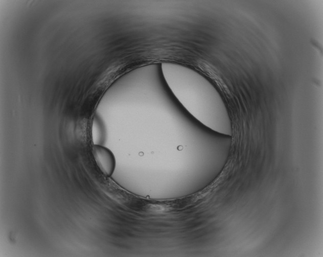 X0000091650167200708231017