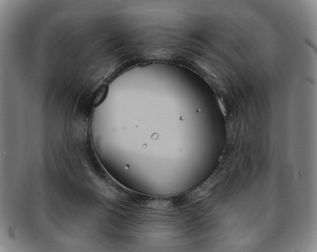 X0000091650168200708231017