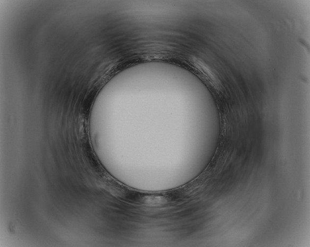 X0000091650169200708231017