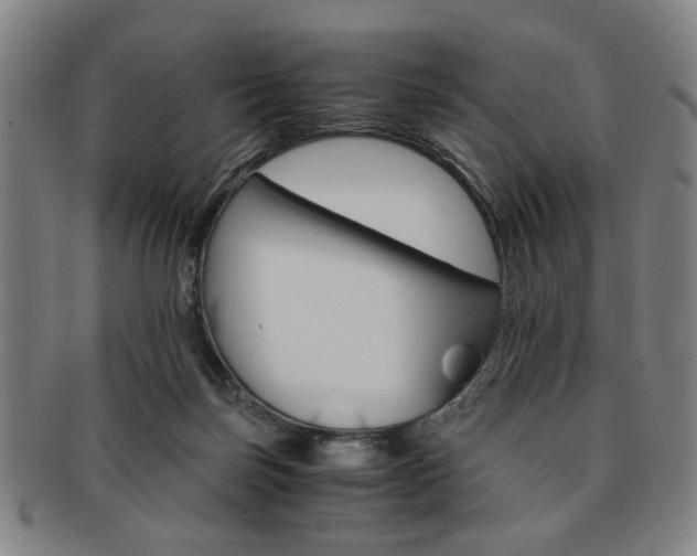 X0000091650171200708231018