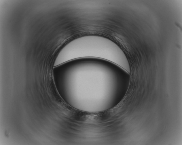 X0000091650172200708231018