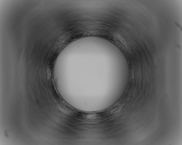 X0000091650173200708231018